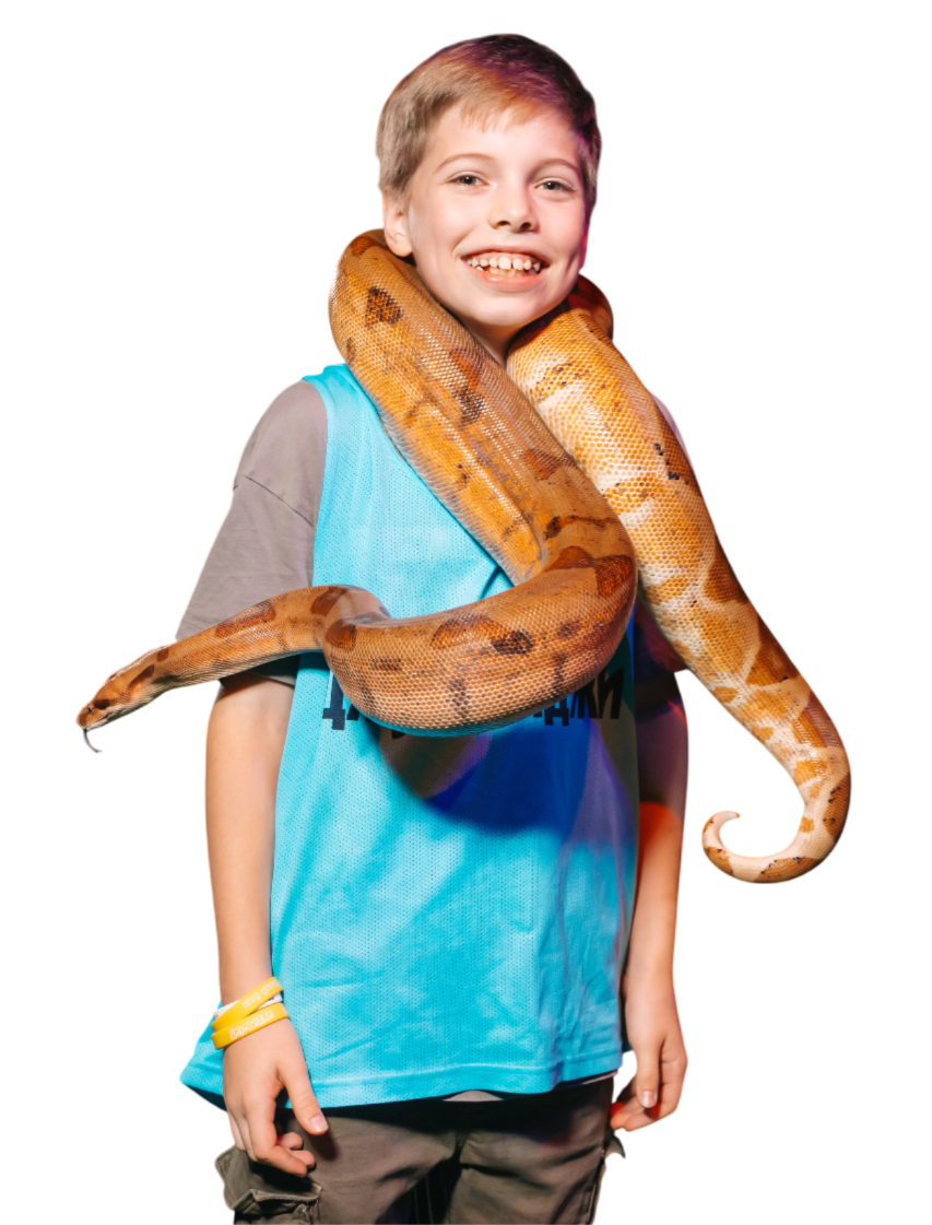 Image title